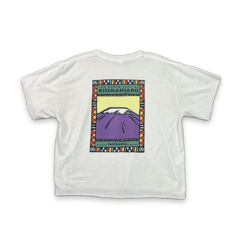 Vintage The North Face T-Shirt Mens Large Kilimanjaro Tanzania Graphic Mountain